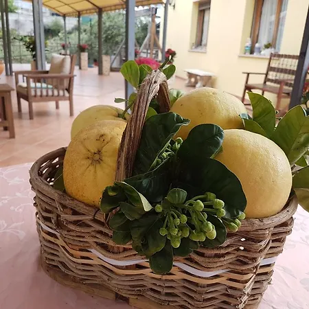Al Nido Degli Aironi Gospodarstwo agroturystyczne San Remo