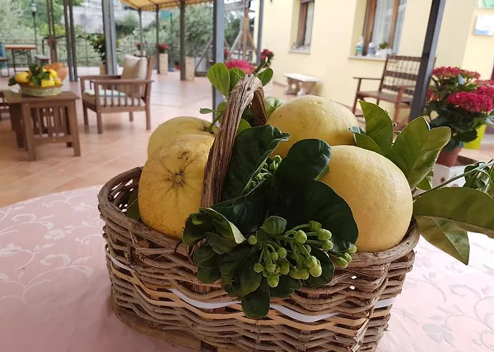 Al Nido Degli Aironi Farma Sanremo