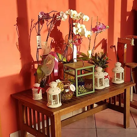 Farma Al Nido Degli Aironi *